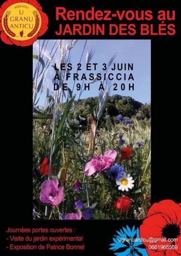 Rendez-vous aux jardins des blés à Pancheraccia