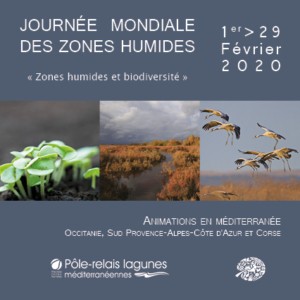 Journées Mondiales des Zones Humides 2020 - Porto-Vecchio 