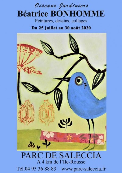 Oiseaux jardiniers - Béatrice Bonhomme - Parc de Saleccia - Monticello - Balagne