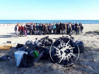 Nettoyage de la plage de Macinaggio - Global Earth Keeper