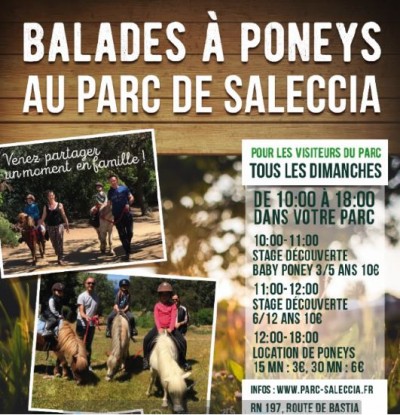 Balades à Poneys - Parc de Saleccia - Monticello - Balagne