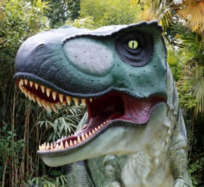 Expo Jurassic Dinosaures - Folelli
