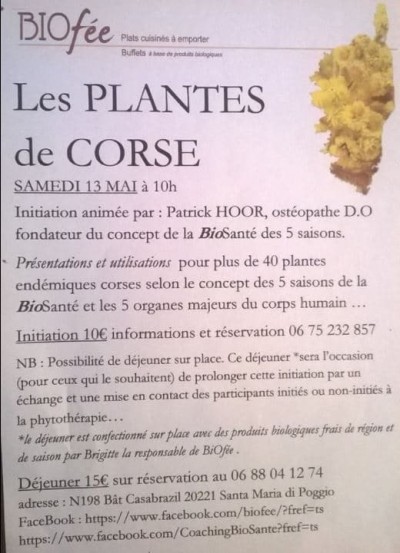 Présentation et utilisation de 40 plantes Corse