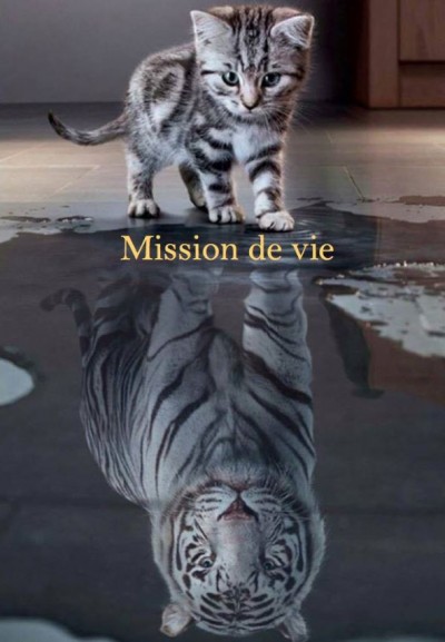 Atelier - Mission de vie - One Coach - Virginie Masselin - Borgo