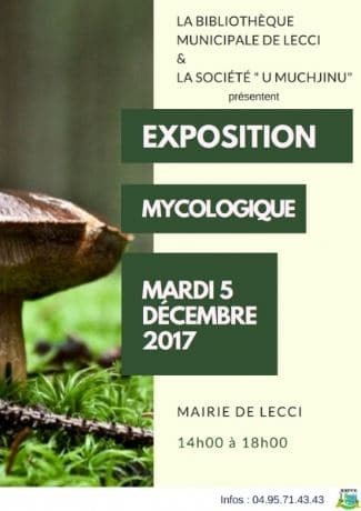 Exposition : Mycologique
