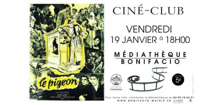 Cine Club : Le Pigeon