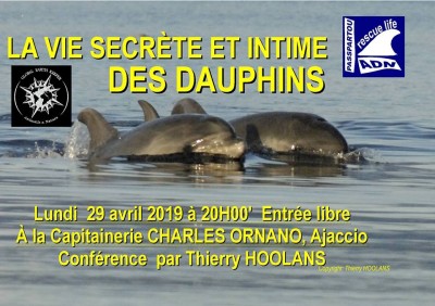 La vie secrète des dauphins - Capitainerie Charles Ornano - Ajaccio