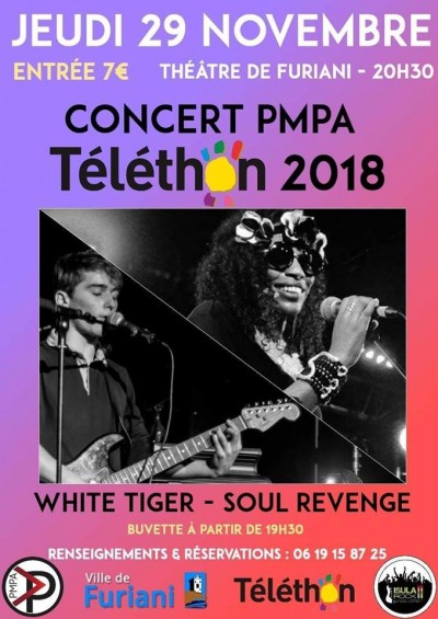 PMPA Soul Revenge et White Tiger - Téléthon 2018 - Théâtre de Furiani 