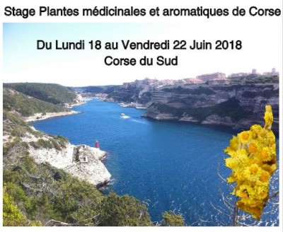 Stage « Plantes médicinales et aromatiques de Corse »
