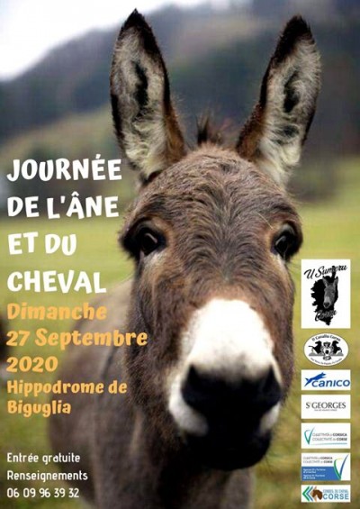 Journée de l'âne et du cheval - Hippodrome de Casatorra - Biguglia